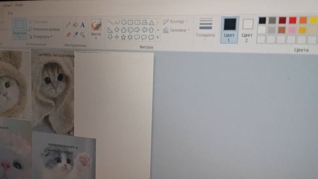 VID_20241014_164029.mp4