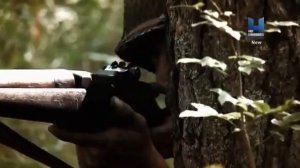 История оружия.  Огнестрельное оружие.