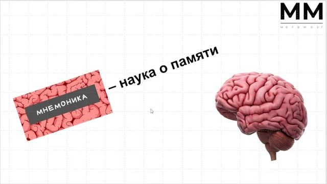 Моя трансляция смотреть онлайн