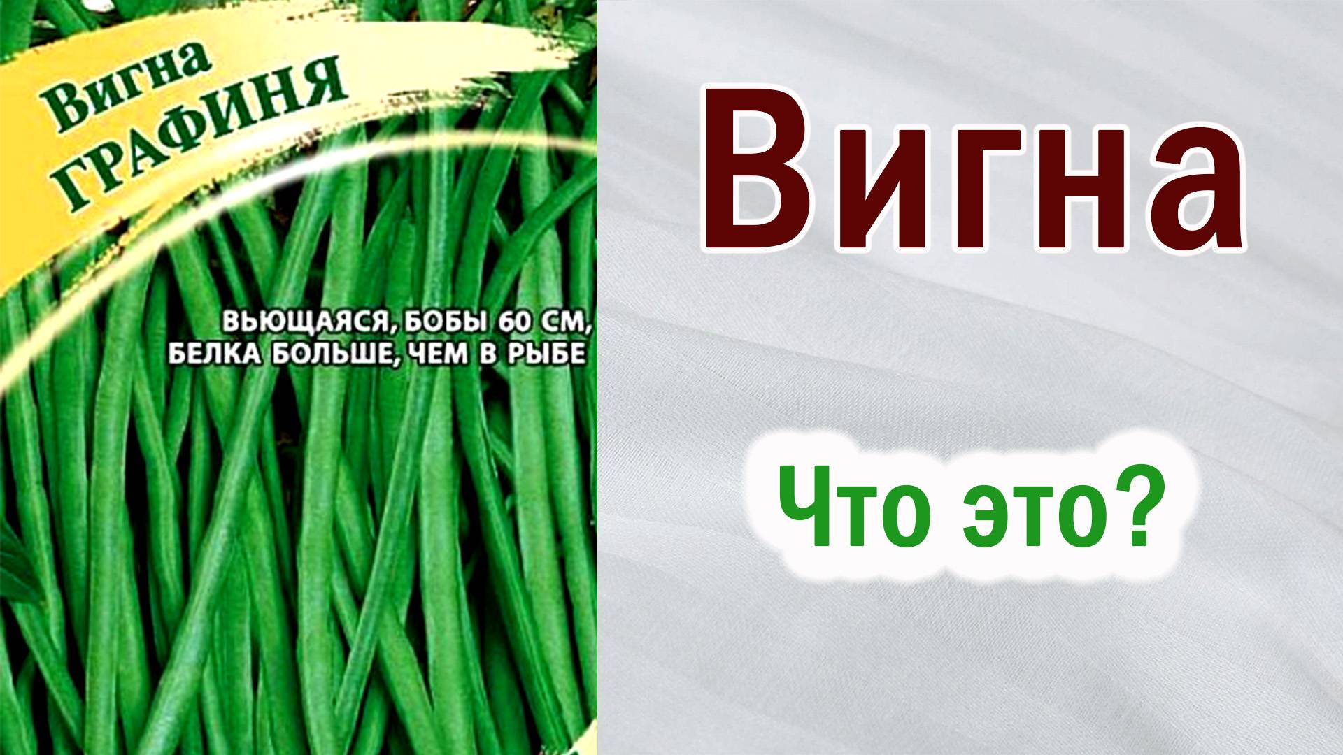 Что такое ВИГНА. Обзор. Отзыв. смотреть онлайн