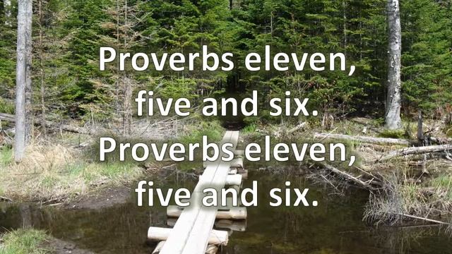 Proverbs 11:5- 6, The righteousness of the perfect,KJV singalong w lyrics,C смотреть онлайн