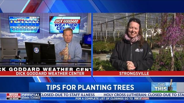 Dig This: Tree Planting tips from Petitti Garden Center смотреть онлайн