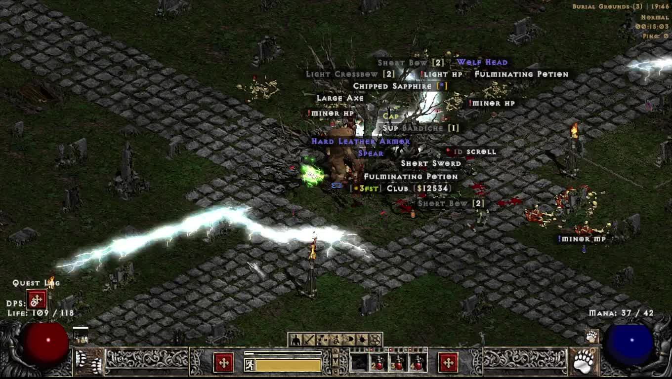 Project Diablo 2 Werebear