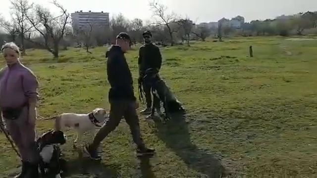 Прохождение группы людей смотреть онлайн