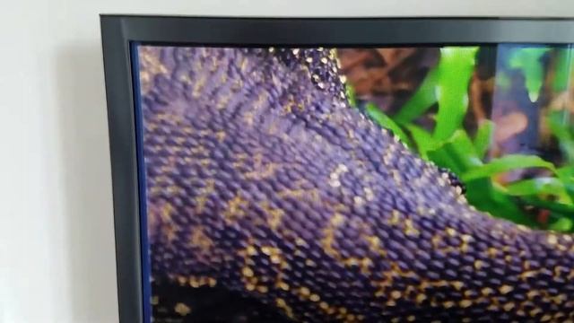 УЦЕНКА! Телевизор Samsung PS51F8505 \ 51 дюйм (5043) смотреть онлайн