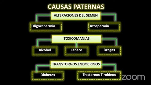 GINECOLOGÍA 14 de abril смотреть онлайн