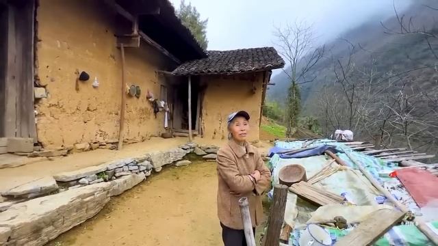 探访深山中一独户，64岁大娘独守空山，自给自足一生太不太容易【乡村阿泰】 смотреть онлайн