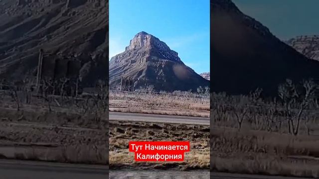 Еду в Калифорнию смотреть онлайн