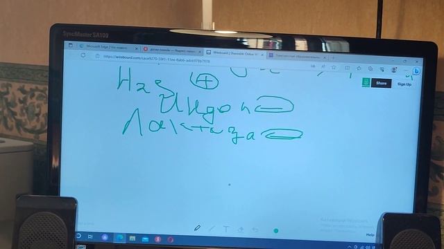 Сальмонеллез и Брюшной тиф