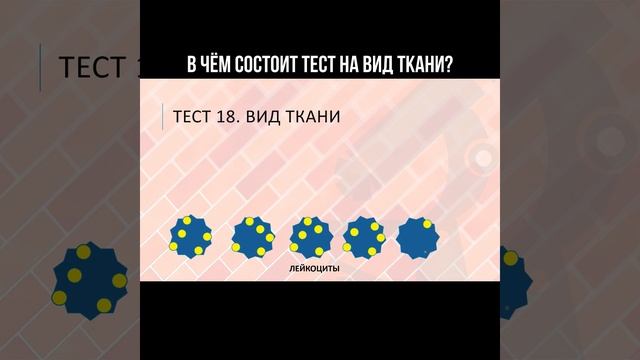 В чём состоит тест на вид ткани? #анализкрови #видткани смотреть онлайн
