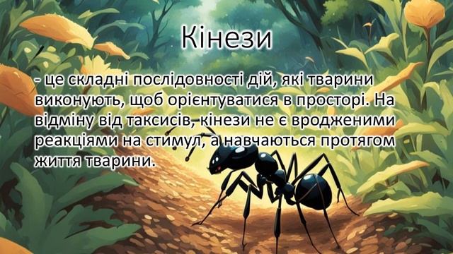 Способи орієнтування тварин. смотреть онлайн