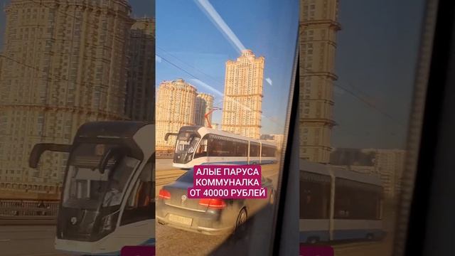 ЖК Алые паруса. Коммуналка от 40000 руб смотреть онлайн