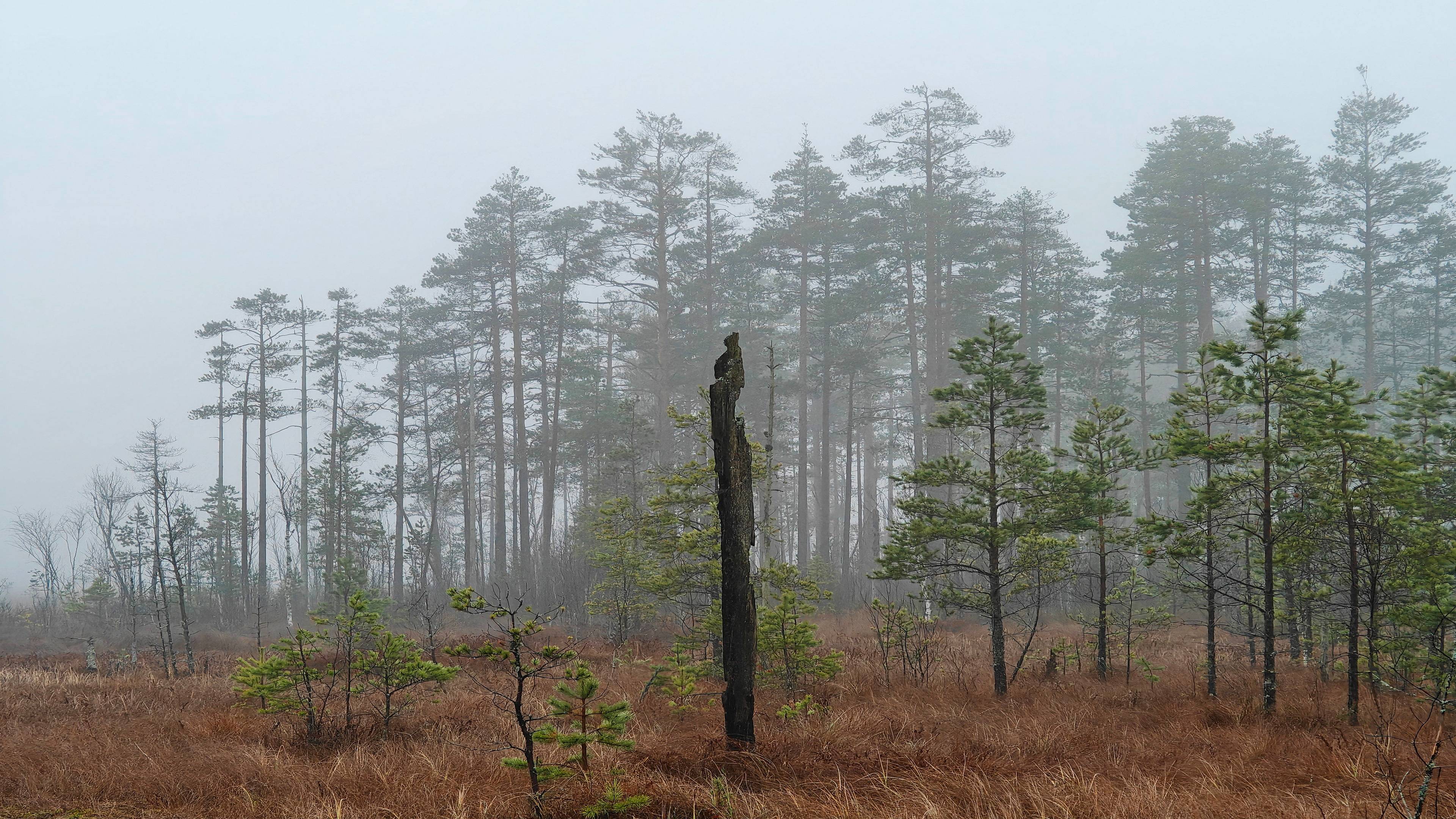 2024-11-10_13км-Ушаки