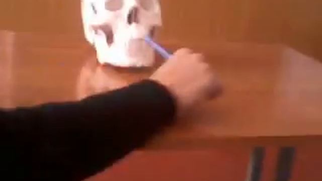 Урок биологии смотреть онлайн