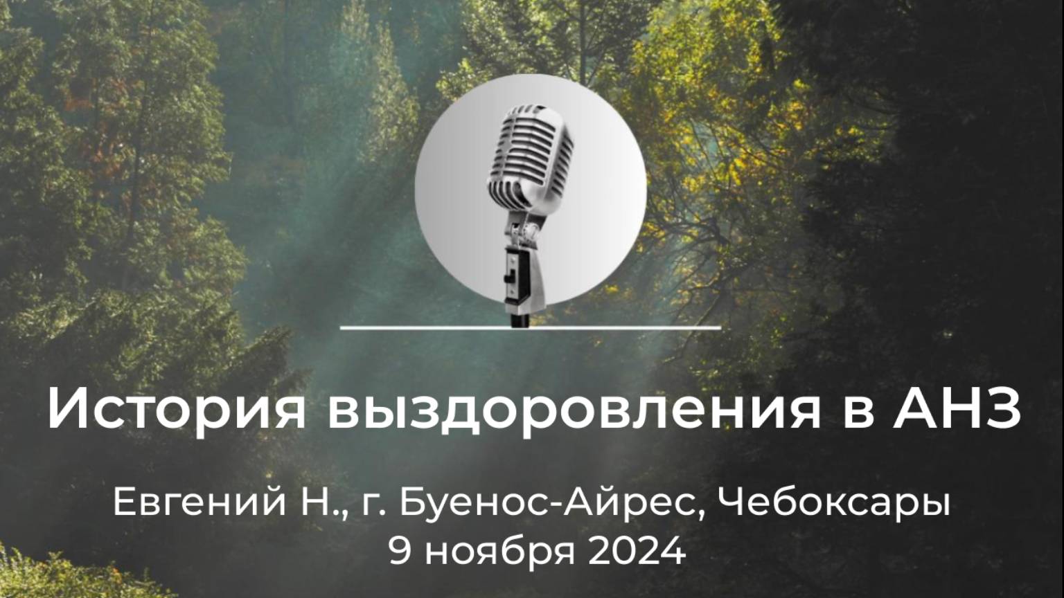 Спикерская АНЗ "История выздоровления в АНЗ" Евгений Н., г. Буенос-Айрес, Чебоксары, 9 ноября 2024 смотреть онлайн