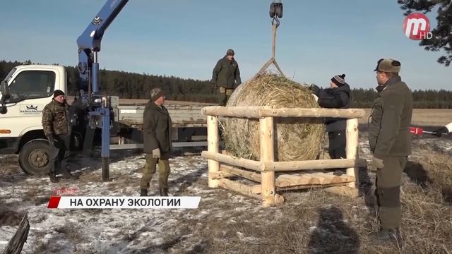 На охрану экологии смотреть онлайн