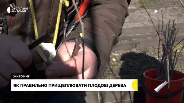 Техніка щеплення плодових дерев: досвід садівника з Житомира після 15 років використання смотреть онлайн