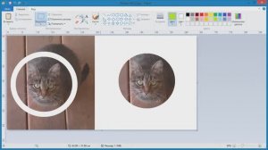 Как в Paint обрезать фото кругом