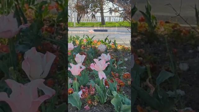 #геленджик смотреть онлайн