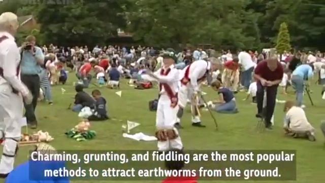 Worm Charming World Championships
