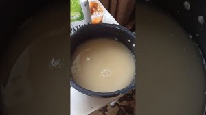 Подкармливаем рассаду томатов крахмалом и мёдом