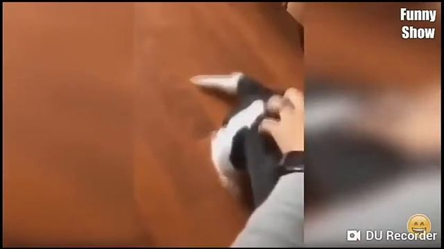 Тест на психику 😂😅😆 смотреть онлайн