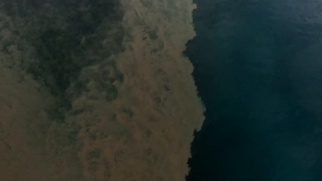 Эласмозавры смотреть онлайн
