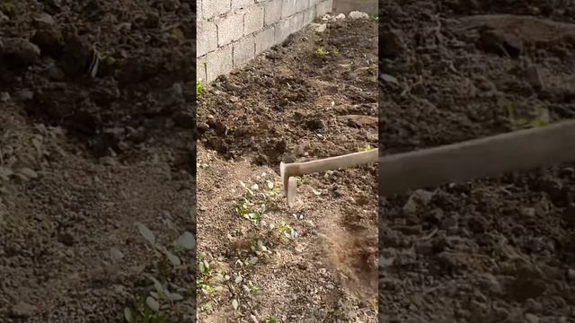 Сеем огурцы в парнике 🥒 смотреть онлайн