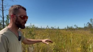 УЖАСЫ И ЗАГАДКИ ВАСЮГАНСКОГО БОЛОТА. Тайны спрятанные в непроходимых топях.