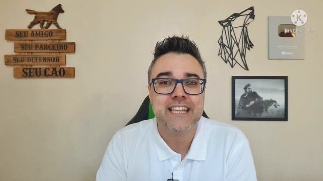 TOP 3 MELHORES ANTIPULGAS E ANTICARRAPATOS! Só os melhores! Como acabar com pulgas e carrapatos! смотреть онлайн