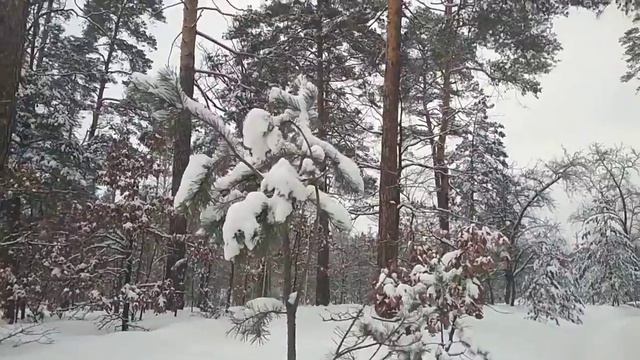 27 января И заруби-ка вот что на носу Шекспир смотреть онлайн