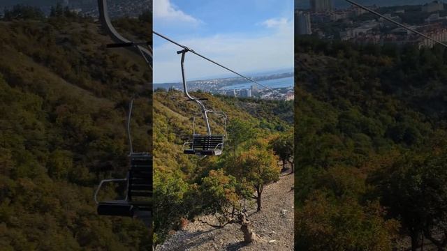 Сафари-парк #геленджик смотреть онлайн