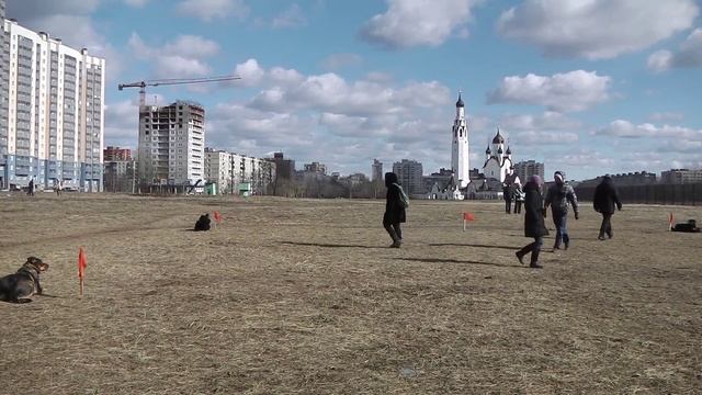IMGA0294 Бермудский треугольник смотреть онлайн