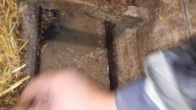 5й день. Вьетнамское утро..)) Всем Спасибо!!!!!!!!!!!!! смотреть онлайн