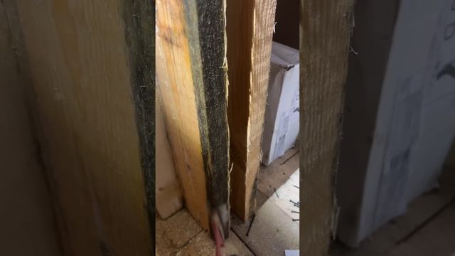 лайфхак #лайфхаки смотреть онлайн