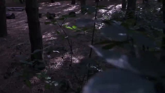 Stalker - Based on a True Story смотреть онлайн