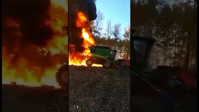 Смешные ролики