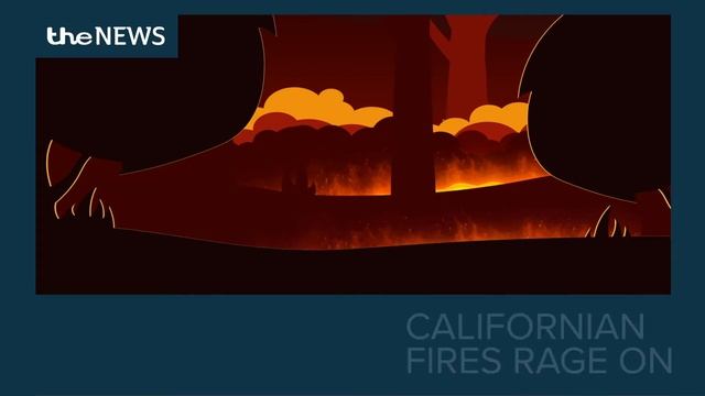 Private Wealth Forum Webinar смотреть онлайн