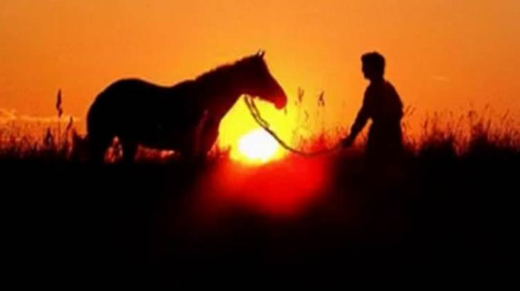 Выйду ночью в поле с конем смотреть онлайн