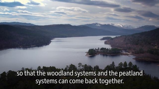 How a FedEx grant to Rewilding Europe is enabling nature restoration in Scotland’s Affric Highlands смотреть онлайн