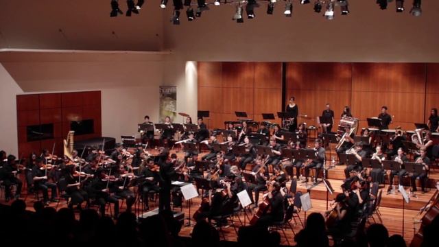 Monash Medical Orchestra 2014 - March to the Scaffold (Hector Berlioz) смотреть онлайн