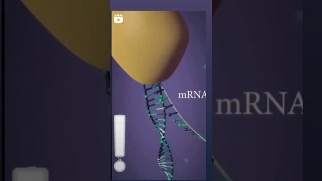 Gene transcription смотреть онлайн