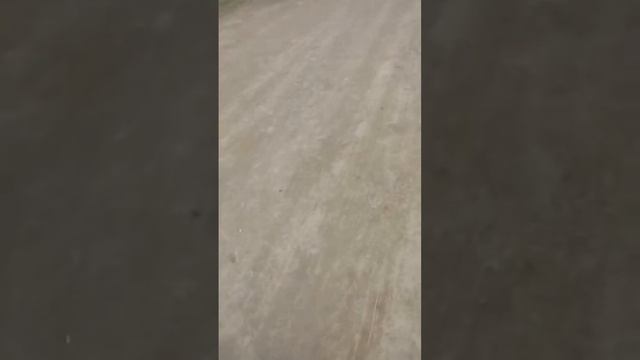 жамбыл ауданы каракыстак ауылы смотреть онлайн