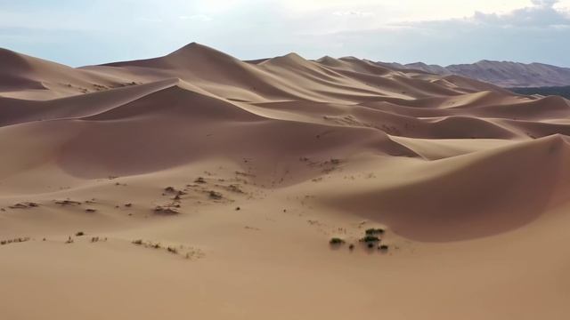 Ragga Oktay & Yıldız Tilbe - Gitme Kal смотреть онлайн