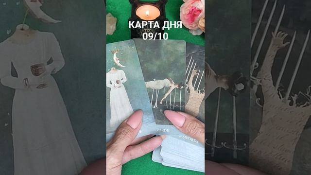 КАРТА ДНЯ 09/10 #таросегодня смотреть онлайн