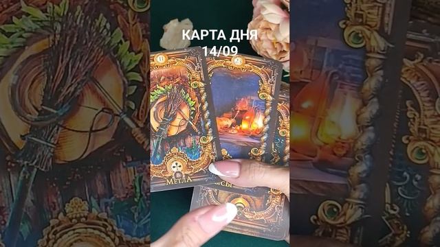 КАРТА ДНЯ 14/09 смотреть онлайн