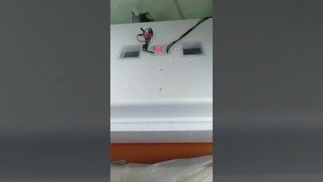 доминанты и брама смотреть онлайн