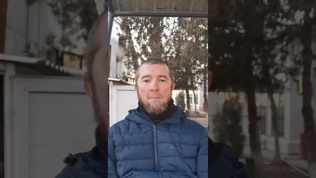 ДЕКЛАРАЦИЯ о самоопределении и самоидентификации смотреть онлайн