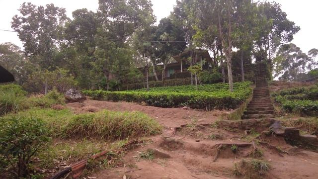 Шри-Ланка. Ползаем по джунглям под проливным дождем. Ночуем в палатке. Обезьяны, водопады, пиявки.. смотреть онлайн