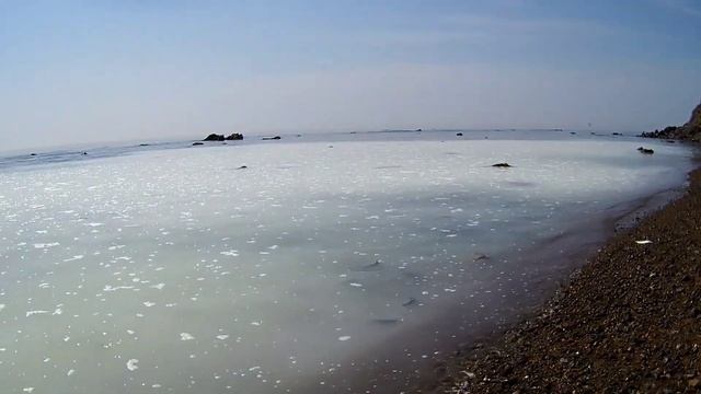 Нерест сельди смотреть онлайн